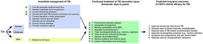 Cannabidiol's neuroprotective properties and potential treatment of traumatic brain injuries